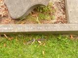 image of grave number 808311